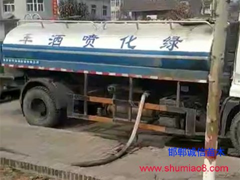 彭家寨鄉邯鄲路段樹苗澆水